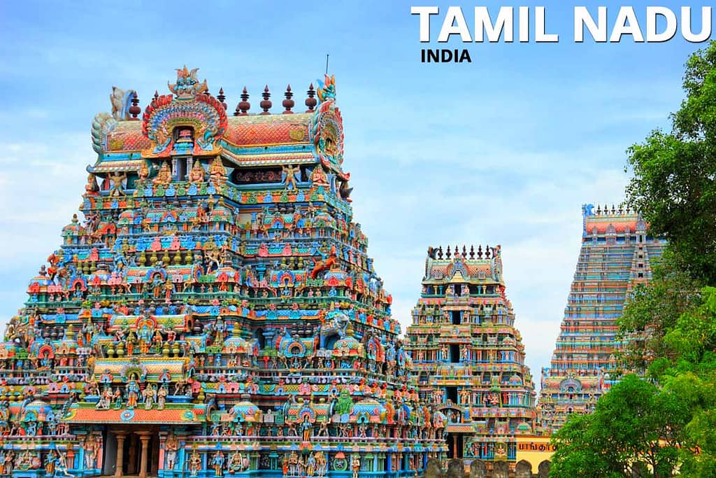 Tamil nadu India