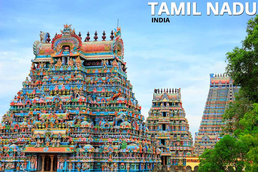 Tamil nadu India