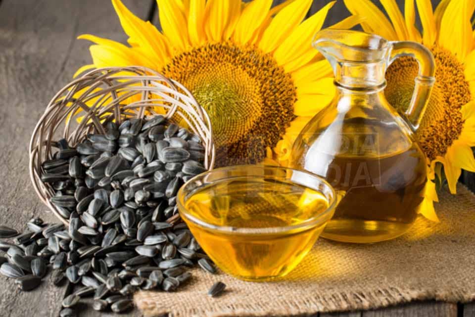Sunflower Seed Oil for Skin